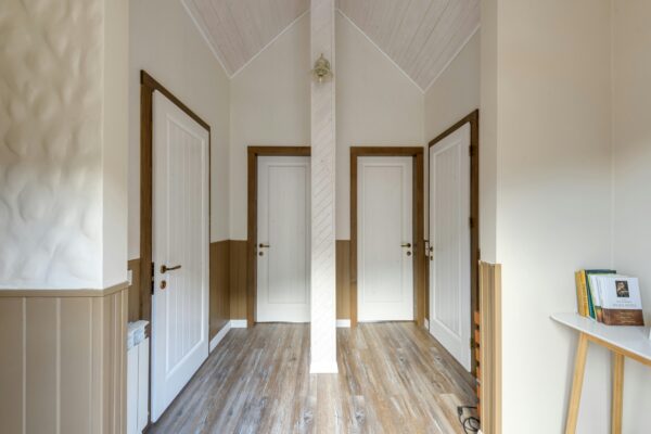 24 x 74 interior door